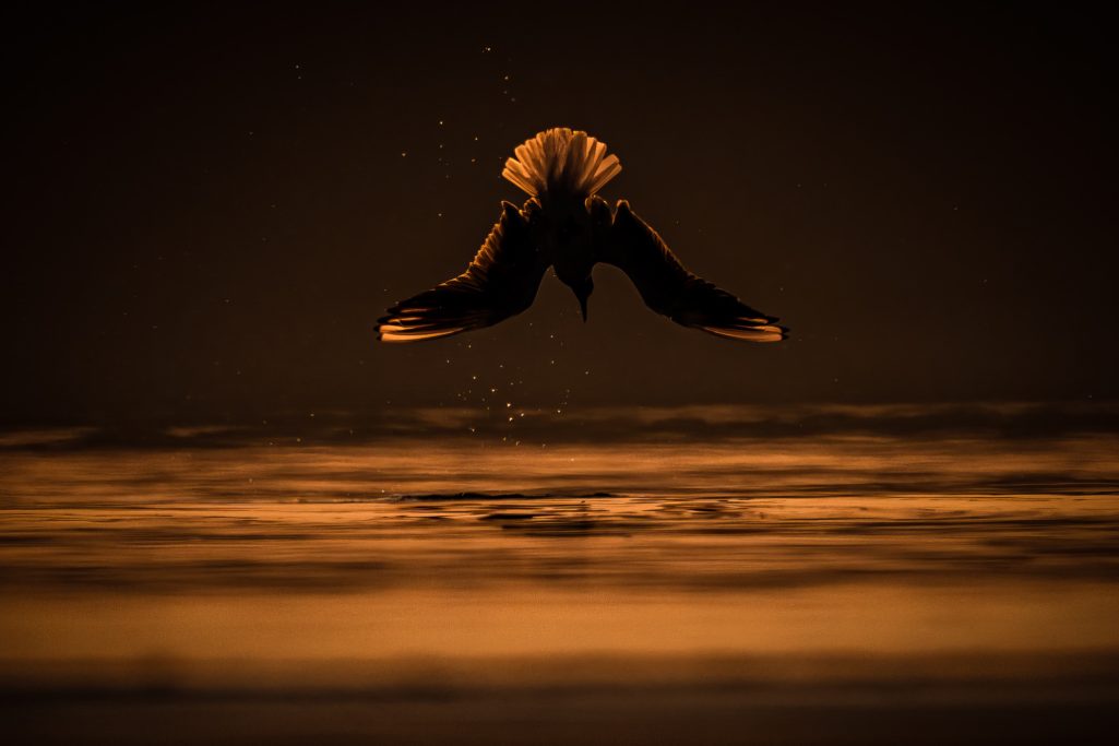 Fototour an der Ostsee