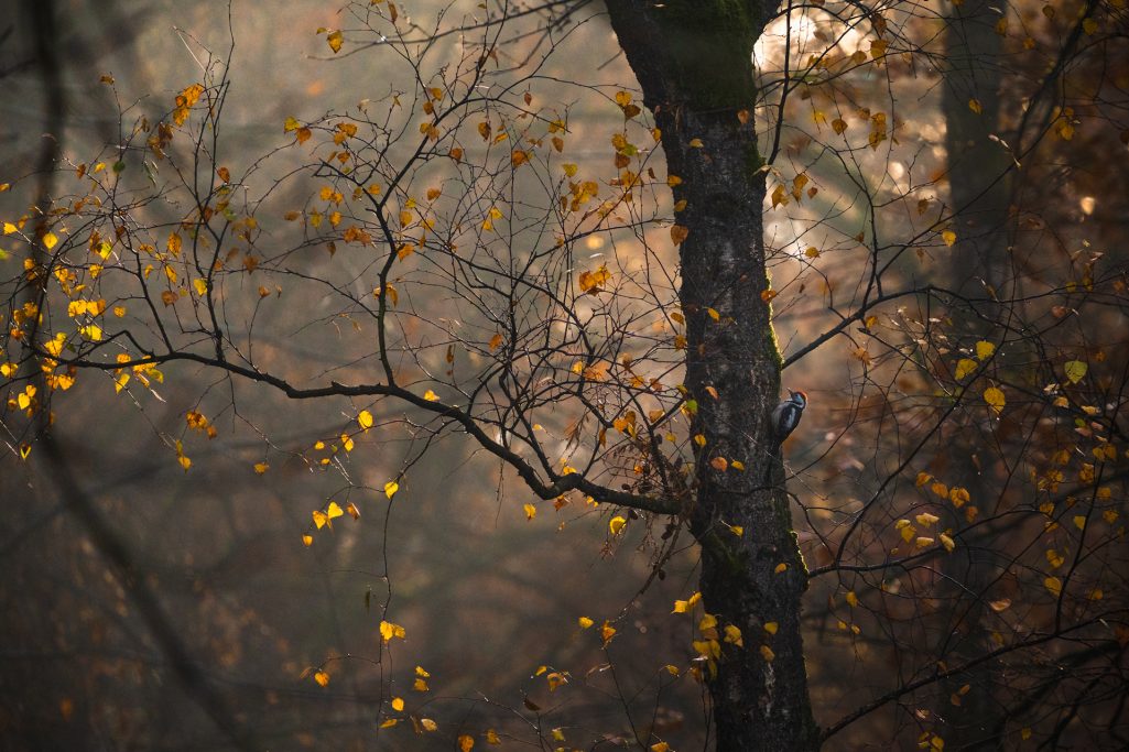 Weniger Instagram, mehr Natur.