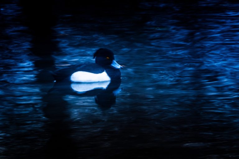 F22 I 0,6sek I ISO 100 I 840mm