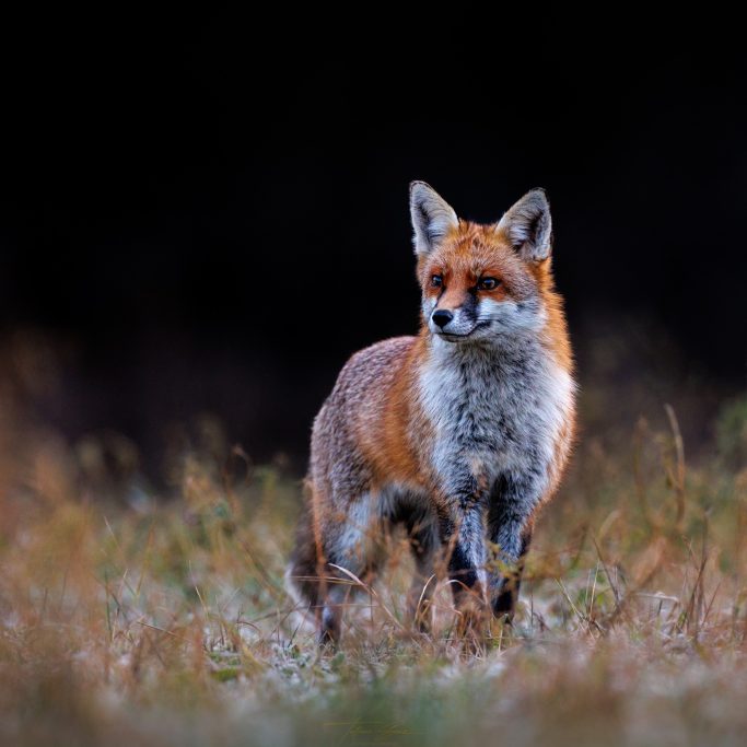 Natur im Gespräch 5 Fragen an Tatjana Senz